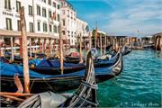 VENICE21 (3)
